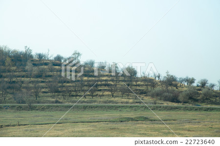 Autumn forest with blue sky. Autumn forest with blue sky. 22723640