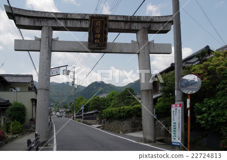 Hiyoshi Taisei Torii Torii 22724813