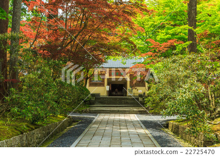 Koyasan Reihokan Koyasan Reihokan 22725470