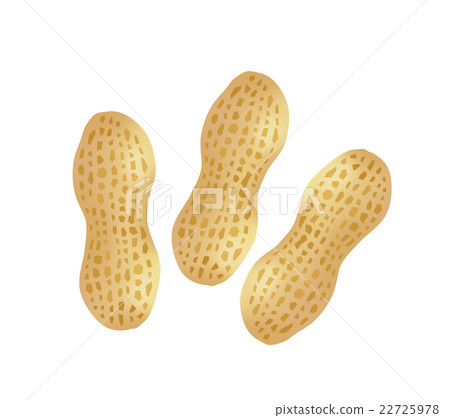 peanuts  22725978