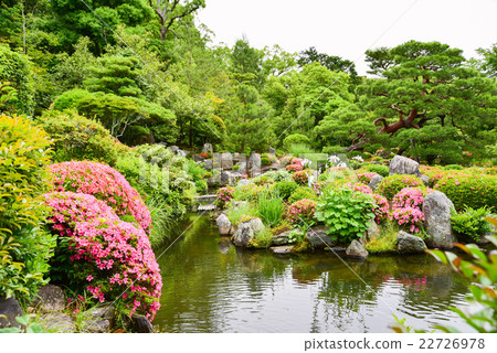 日本青年醫院花園 日本青年醫院花園 22726978