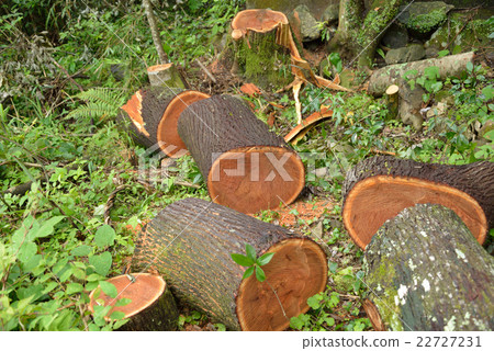 記錄的Sendan 22727231