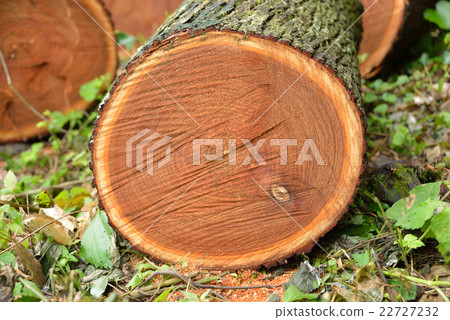 記錄的Sendan 22727232