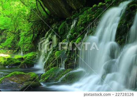 Motoyuki underwater water 22728126