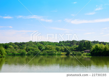 Landscape at the waterside 22730193