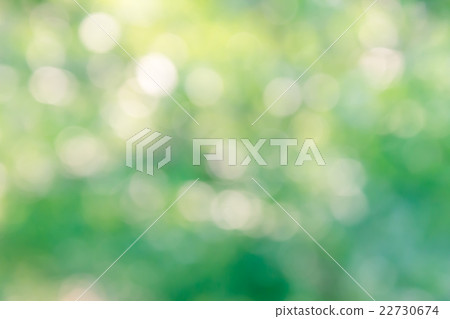 Fresh summer colour green tone soft bokeh  22730674