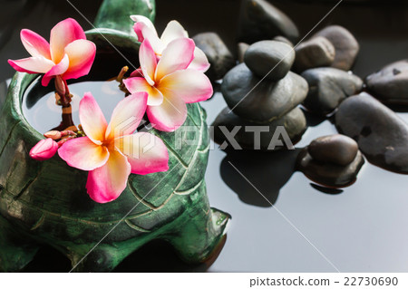 Beautiful flower plumeria or frangipani on water Beautiful flower plumeria or frangipani on water 22730690