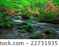 Oirase新鮮綠色的流·三部曲流 22731935