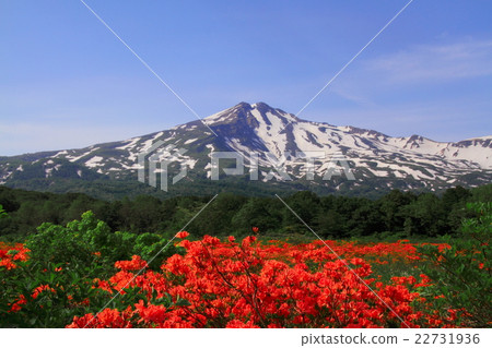 Kuwano tree marsh and Chokaiyama 22731936