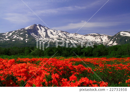 Kuwano樹沼澤和Chokaiyama 22731938