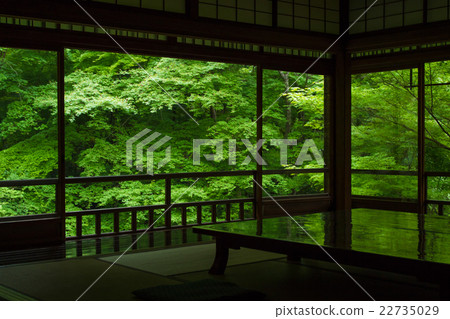 Shoot a new record of Rurikoin in Sakyo-ku, Kyoto-shi Shoot a new record of Rurikoin in Sakyo-ku, Kyoto-shi 22735029