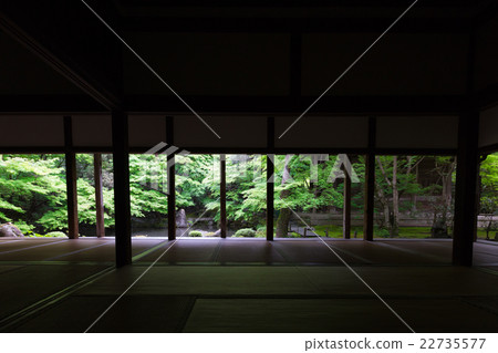 蓮花寺新鮮的綠色射擊在Sakyo-ku，京都市 22735577