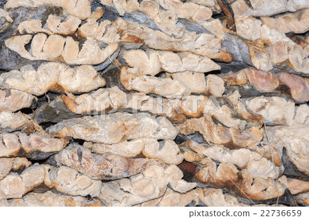 dried fish detail at Male india fish market dried fish detail at Male india fish market 22736659