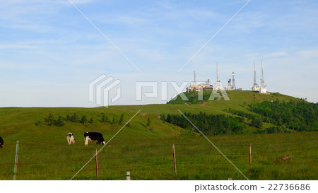 王子頭酒店和牛 22736686