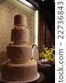 Wedding cake 22736843