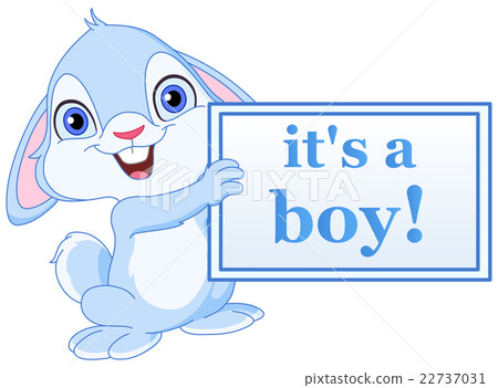 Baby bunny boy 22737031
