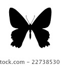 Silhouette of butterfly isolated on white 22738530