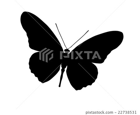 Silhouette of butterfly isolated on white 22738531