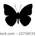 Silhouette of butterfly isolated on white 22738535