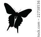 Silhouette of butterfly isolated on white 22738536