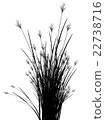 Field grass on a white background isolated 22738716