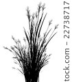 Field grass on a white background isolated 22738717