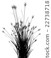 Field grass on a white background isolated 22738718