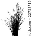 Field grass on a white background isolated 22738719