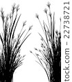 Field grass on a white background isolated 22738721