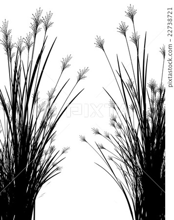 Field grass on a white background isolated Field grass on a white background isolated 22738721