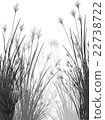 Field grass on a white background isolated 22738722