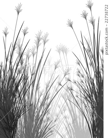 Field grass on a white background isolated 22738722
