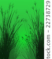 Field grass on a green background isolated 22738729