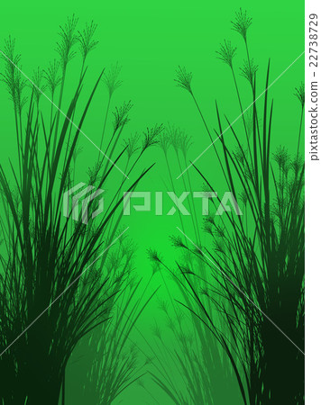 Field grass on a green background isolated Field grass on a green background isolated 22738729