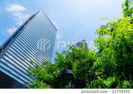 [東京]新宿的城市景觀 22739393