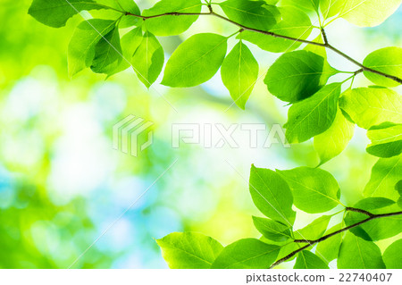  新鮮的綠色生態形象 22740407