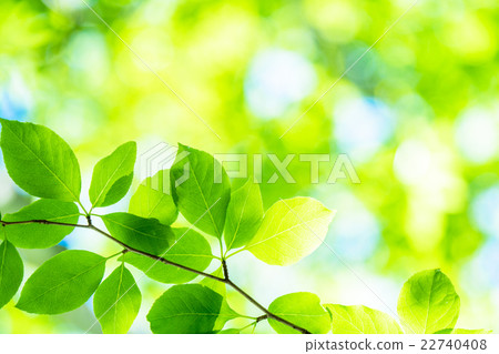  新鮮的綠色生態形象 22740408