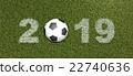 2019 grass font with ball 22740636