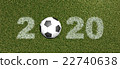 2020 grass font with ball 22740638