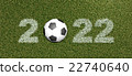 2022 grass font with ball 22740640