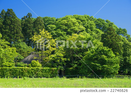 落柿建設 落柿建設 22740826