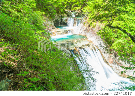 [山梨縣]西澤谷，七夏5級瀑布 22741017