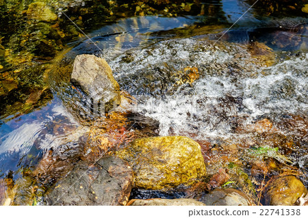 Mountain stream in a forest Mountain stream in a forest 22741338