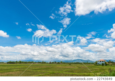 Rice Fields before farming with blue sky Rice Fields before farming with blue sky 22743649