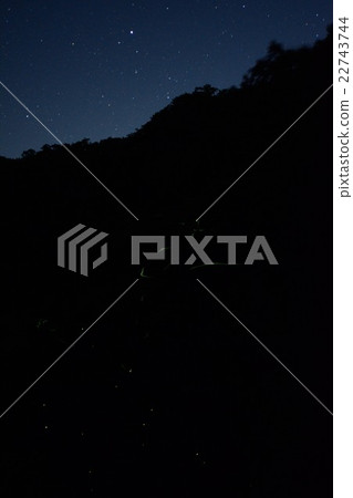 Star and fireflies work together 22743744