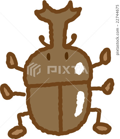 Beetle Beetle 22744675