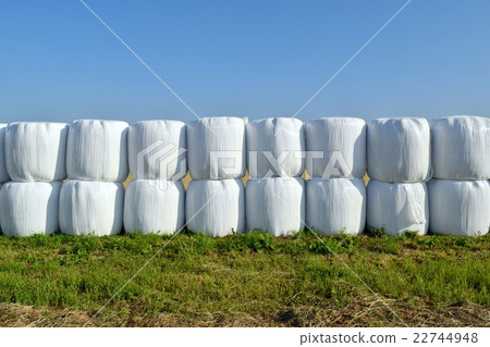 White straw roll 22744948