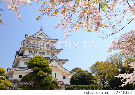Chiba Castle Cherry blossoms 22746338