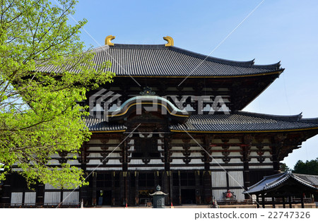 東大寺大佛（2016.4） 22747326