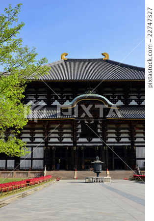 東大寺大佛（2016.4） 22747327